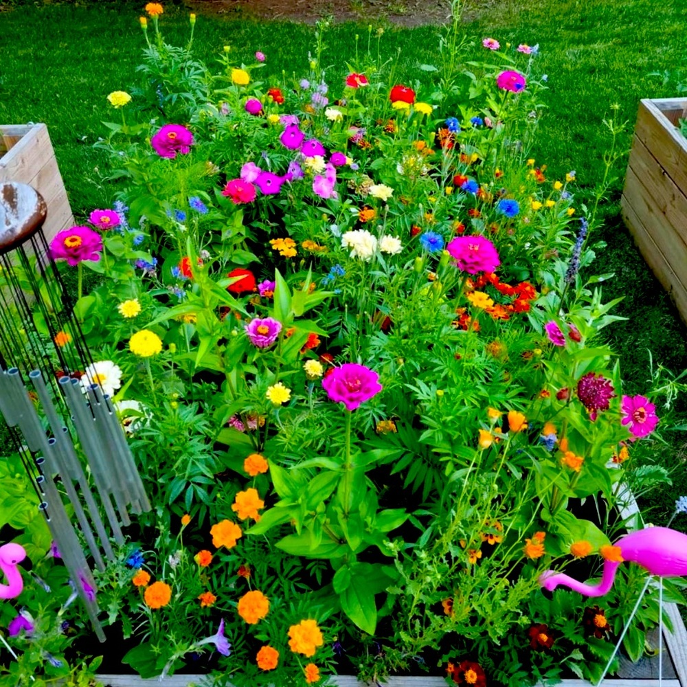 Meet your Posher, Kiley